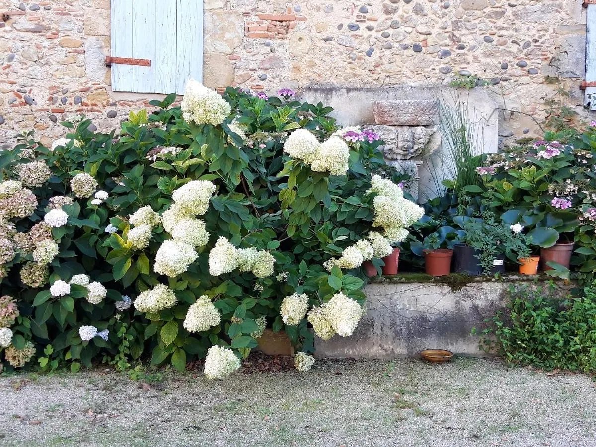 Bed and Breakfast Le Pouy à Termes-d'Armagnac Couette-café